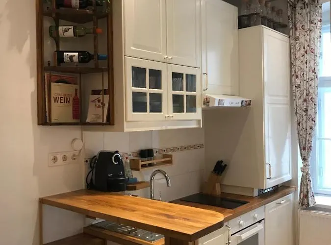Appartement Near Schoenbrunn And Downtown *